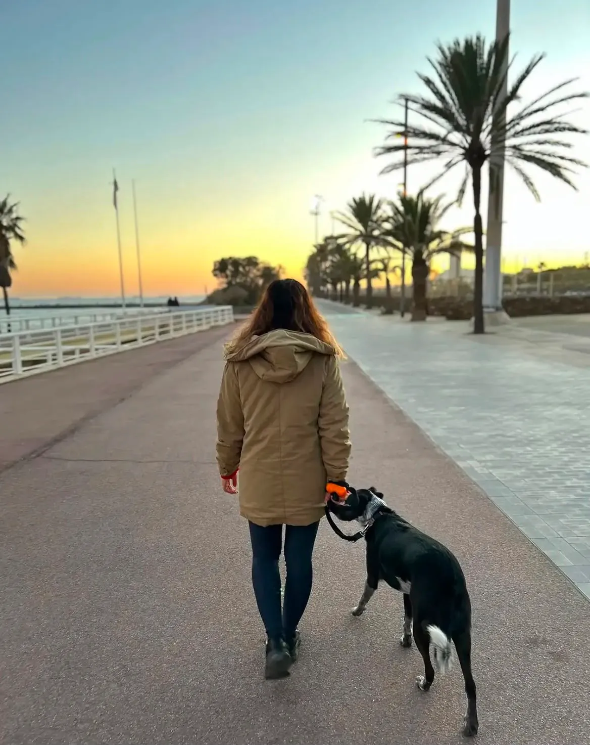Mariana paseando a un perro por el paseo marítimo de Barcelona entre palmeras al atardecer