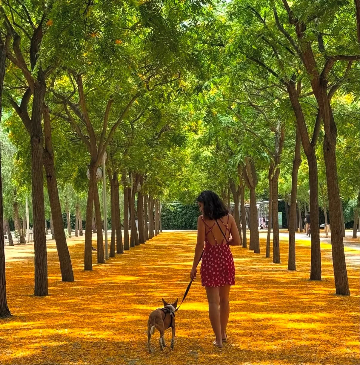 Mariana paseando a un perro por un sendero arbolado y dorado de un parque de Barcelona