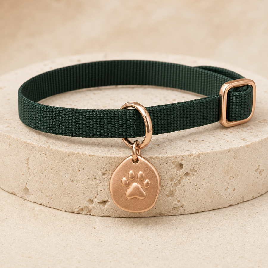 Medalla-joya dorada con huella para collar de perro